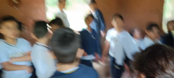 Bicho Mania 2022
